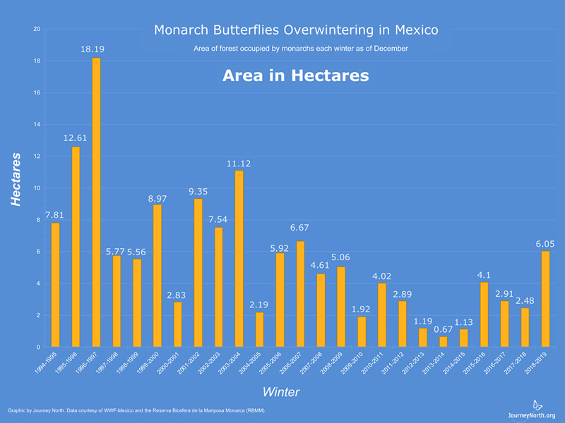 Historic Population Data Population data have been collected consistently in Mexico since 1994. The graph shows the estimated area of forest the monarchs covered each winter. Look for trends. Why do you think it's valuable to collect population data every year?
