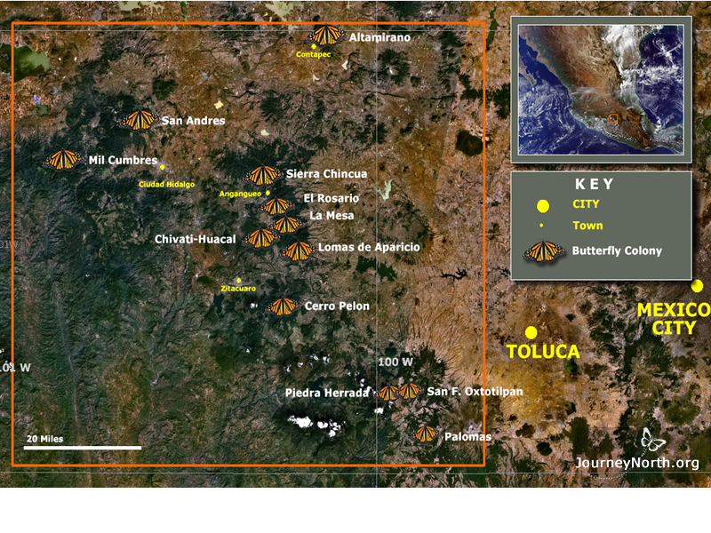 Total Area of 12 Sanctuaries Scientists measure all 12 of the monarch wintering sites. Their goal is to calculate the total area of forest covered with butterflies.