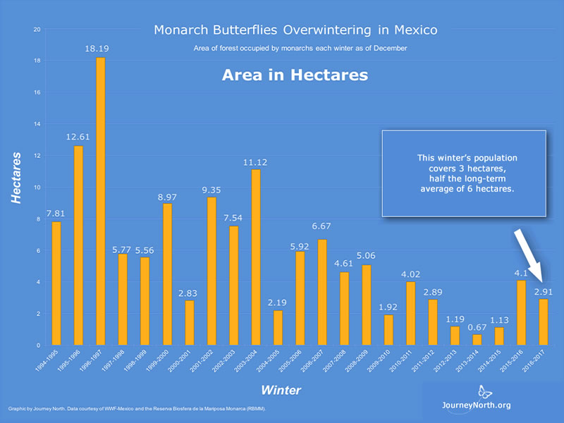 Historic Population Data Population data have been collected consistently in Mexico since 1994. The graph shows the estimated area of forest the monarchs covered each winter. Look for trends. Why do you think it's valuable to collect population data every year?
