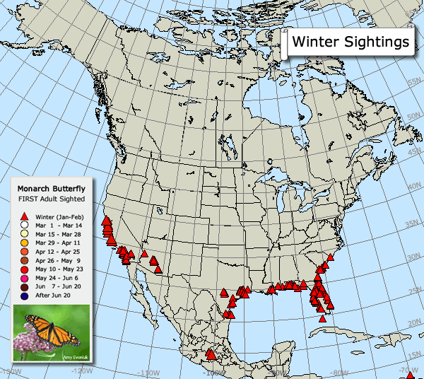 Monarch Butterfly Migration Spring 2017