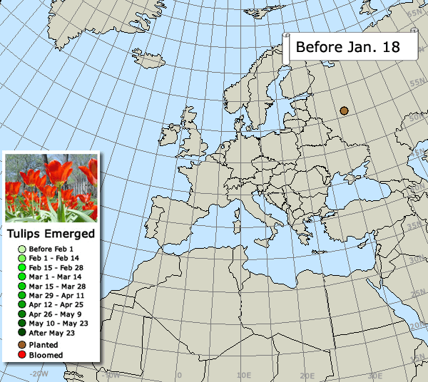 Tulip Map Spring 2017 Eurasia