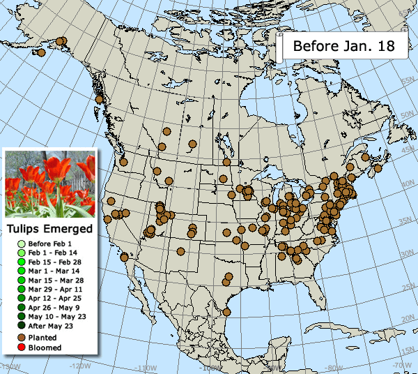 Tulips Spring 2017 North America Map