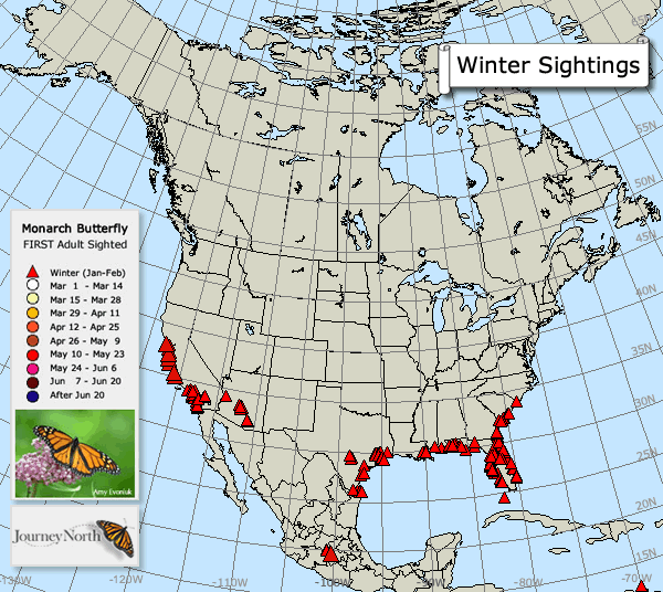 Monarch Butterfly Migration Spring 2017