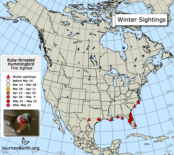 Ruby-throated hummingbird map