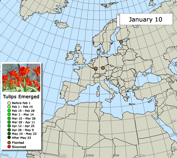 Tulip Test Garden Map Spring 2018 Eurasia