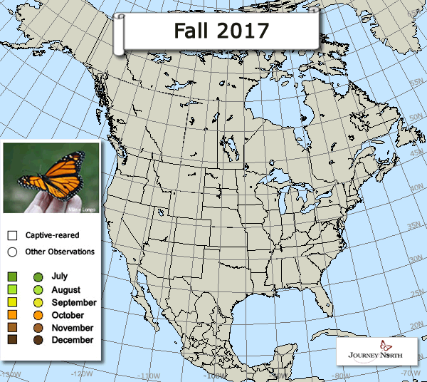 Other Monarch Butterfly Observations Fall 2017
