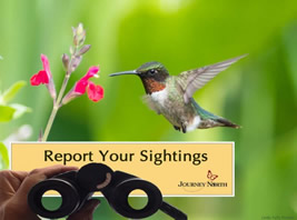 Report Your Sightings