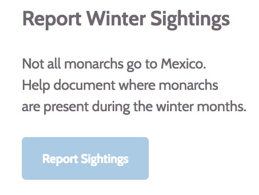 Report Your Monarch Sightings