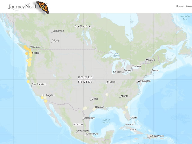  Rufous Hummingbird Migration Map Spring 2019