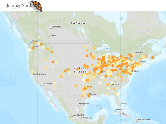 Robin Map Spring 2019