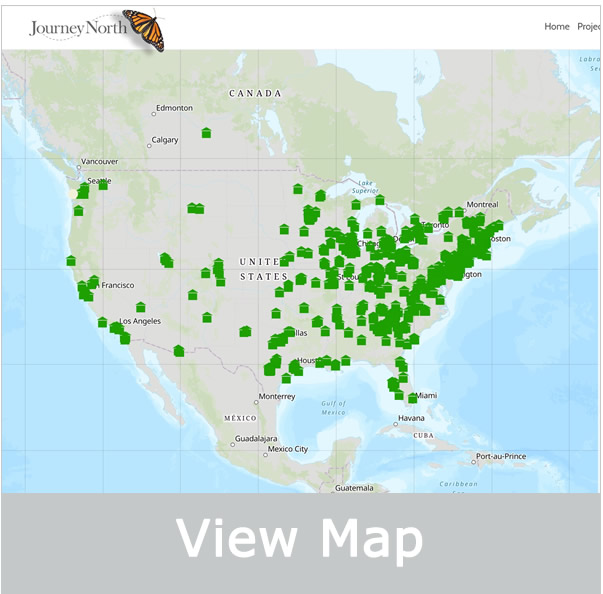Symbolic Migration Map Spring 2019 