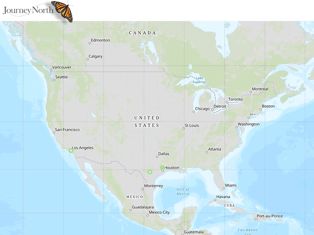 Map of Sightings: First Monarch Larvae Spring 2019