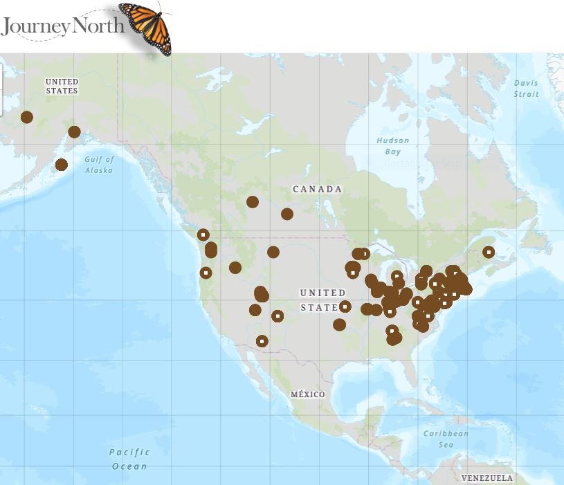 Tulip Map Fall 2019 News Updates