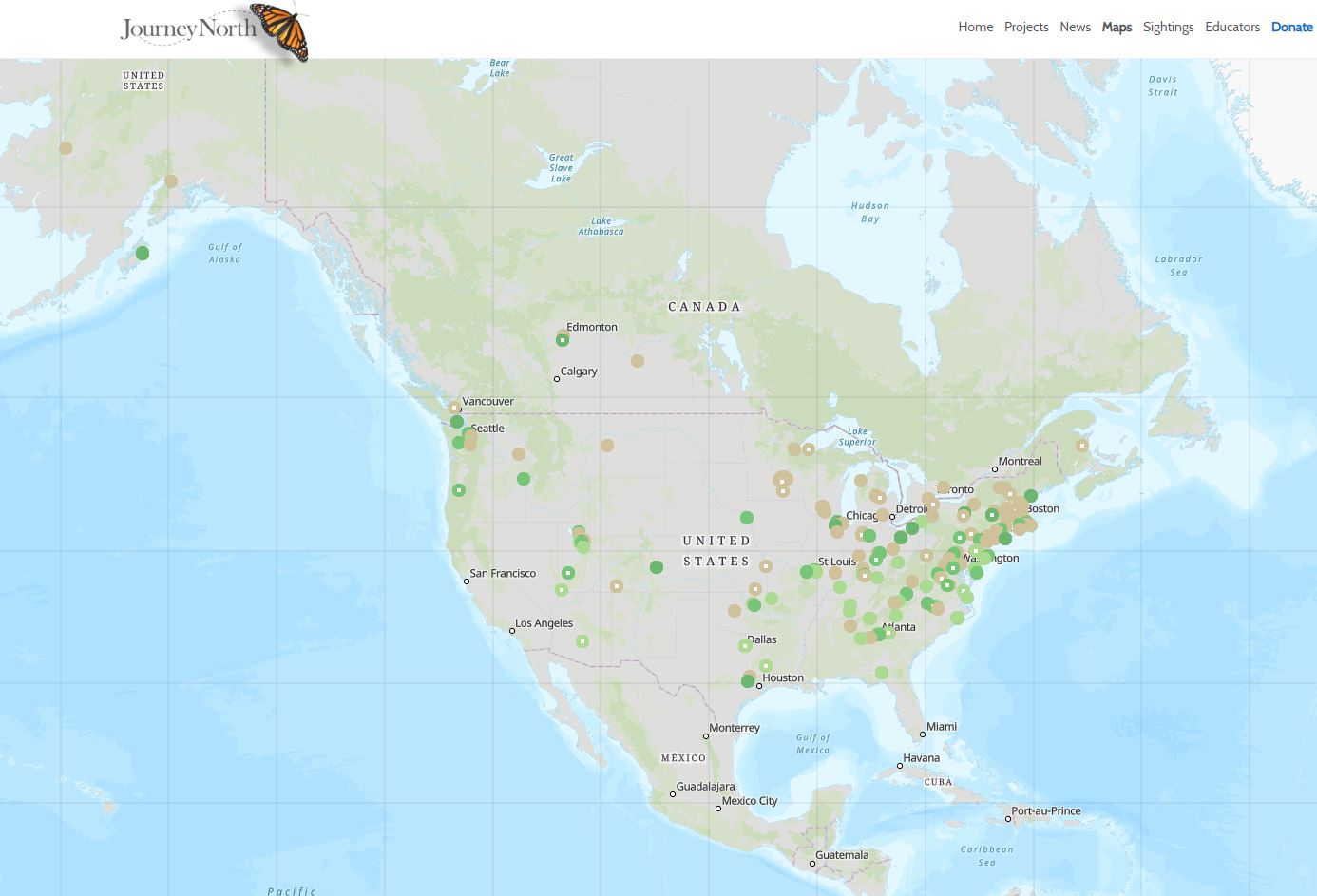 Tulip Map Spring 2020 News