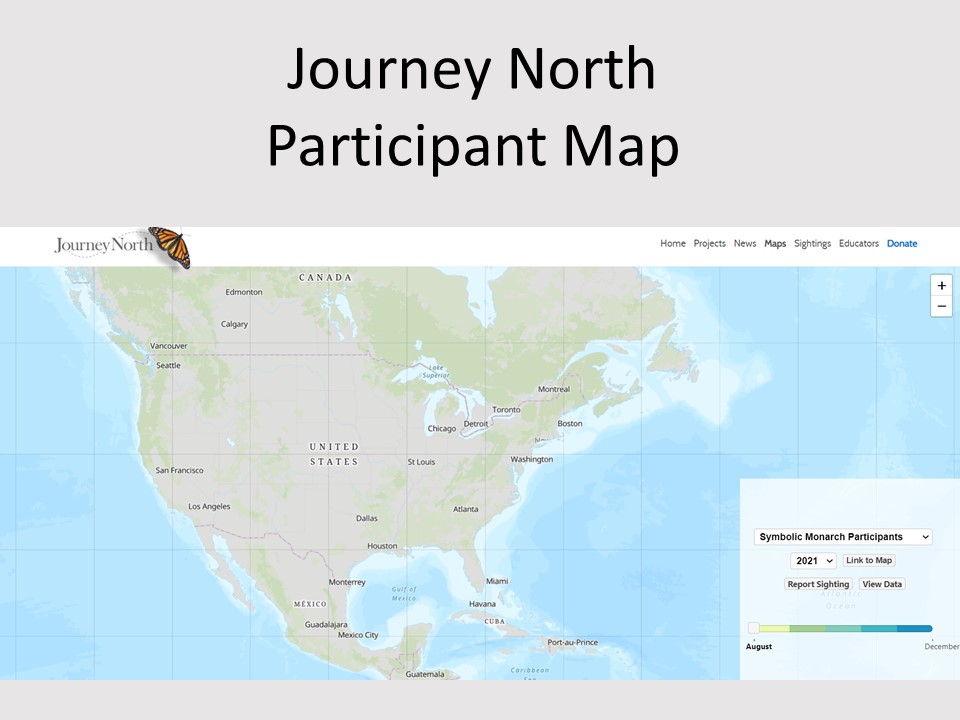 symbolic migration participant map