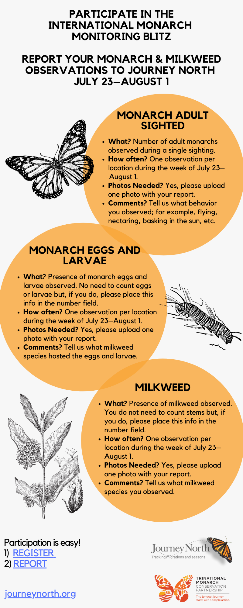 International Monarch Monitoring Blitz flyer