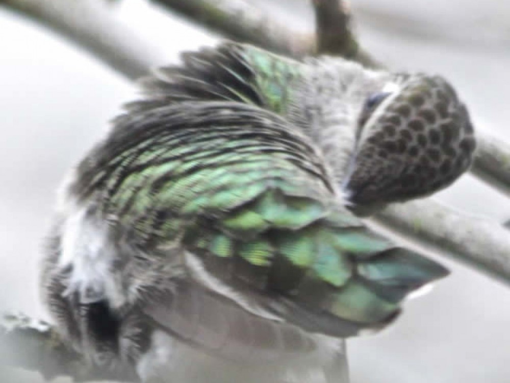 Photo by John Doerper