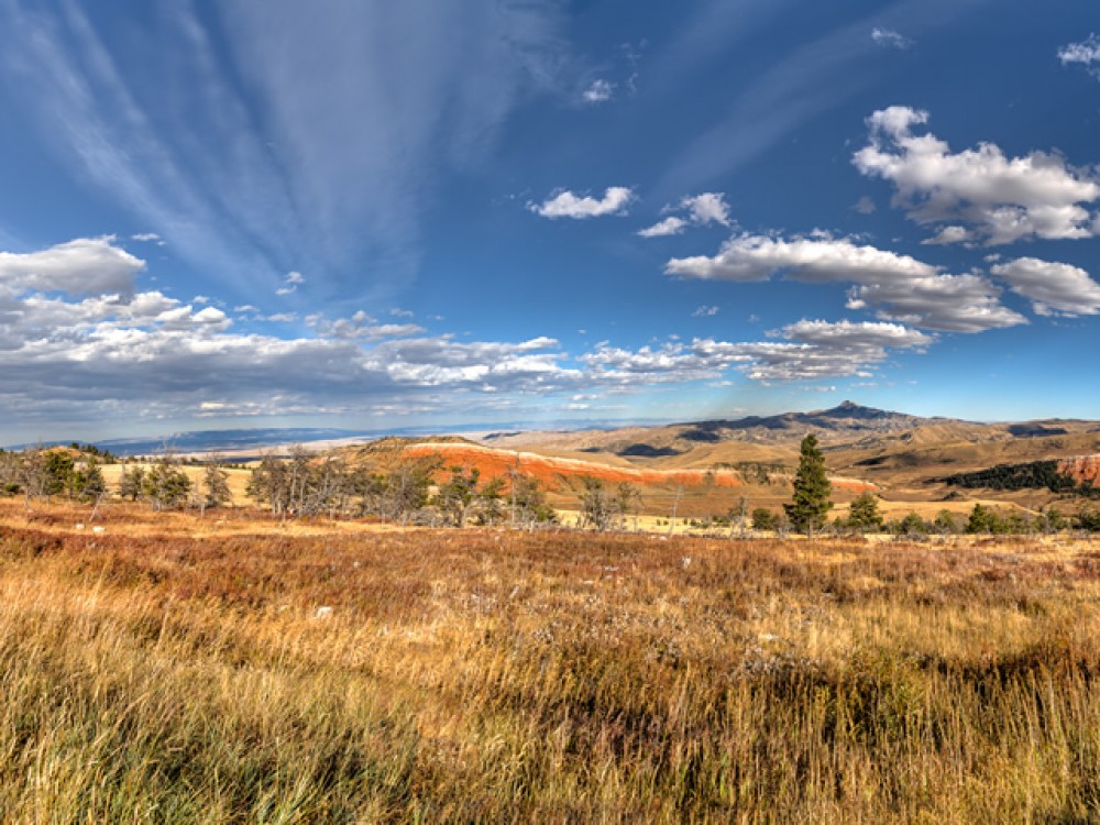 Fall at Heart Mountain