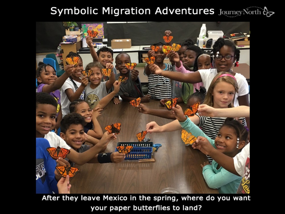 Where do you want your symbolic butterfly to land?