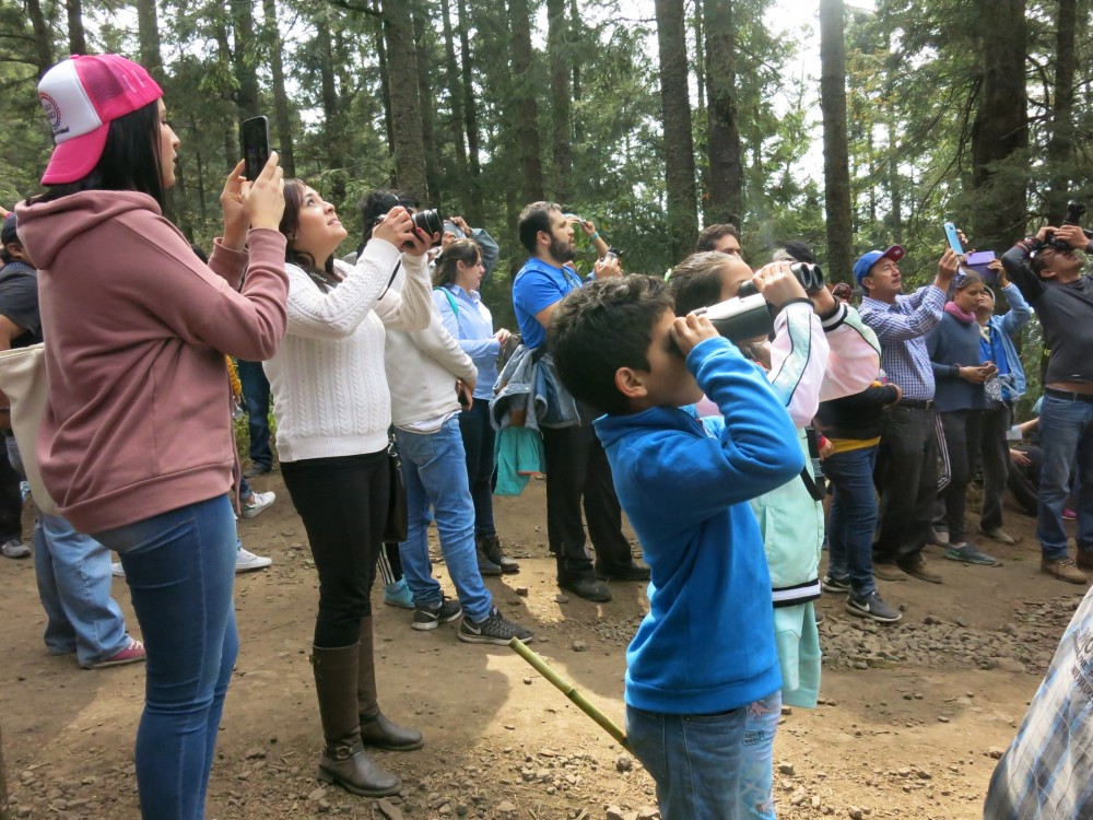 The bright orange butterflies constrasted with the green trees  -  both being enlightened by the rays of the sun - made it a unique scene. One could stay at the Colony for hours. 