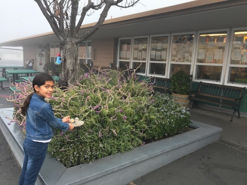 Photo: Vicki Fregosi