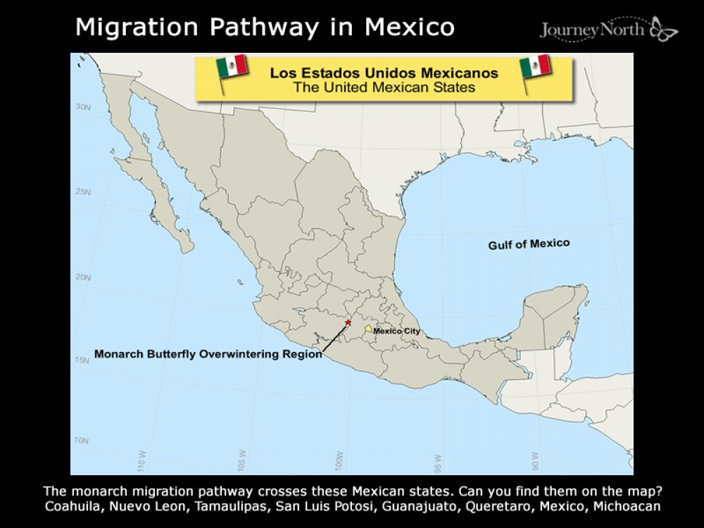 Mexican States on the Monarch Migration Pathway