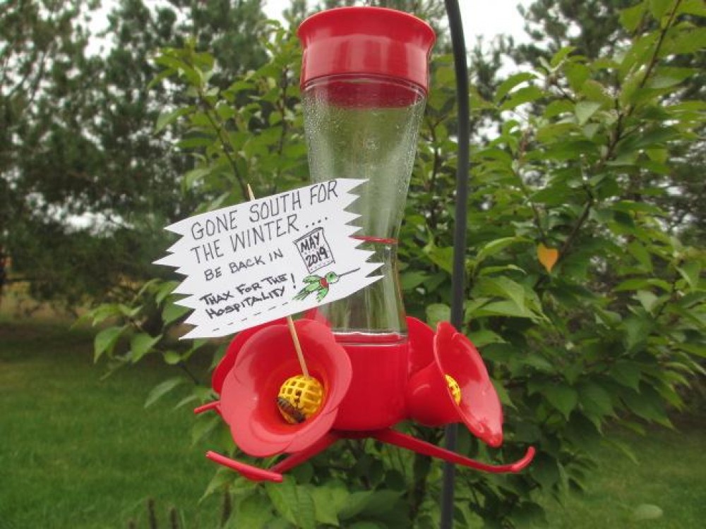 Hummingbird Feeder Getting Ready For Winter