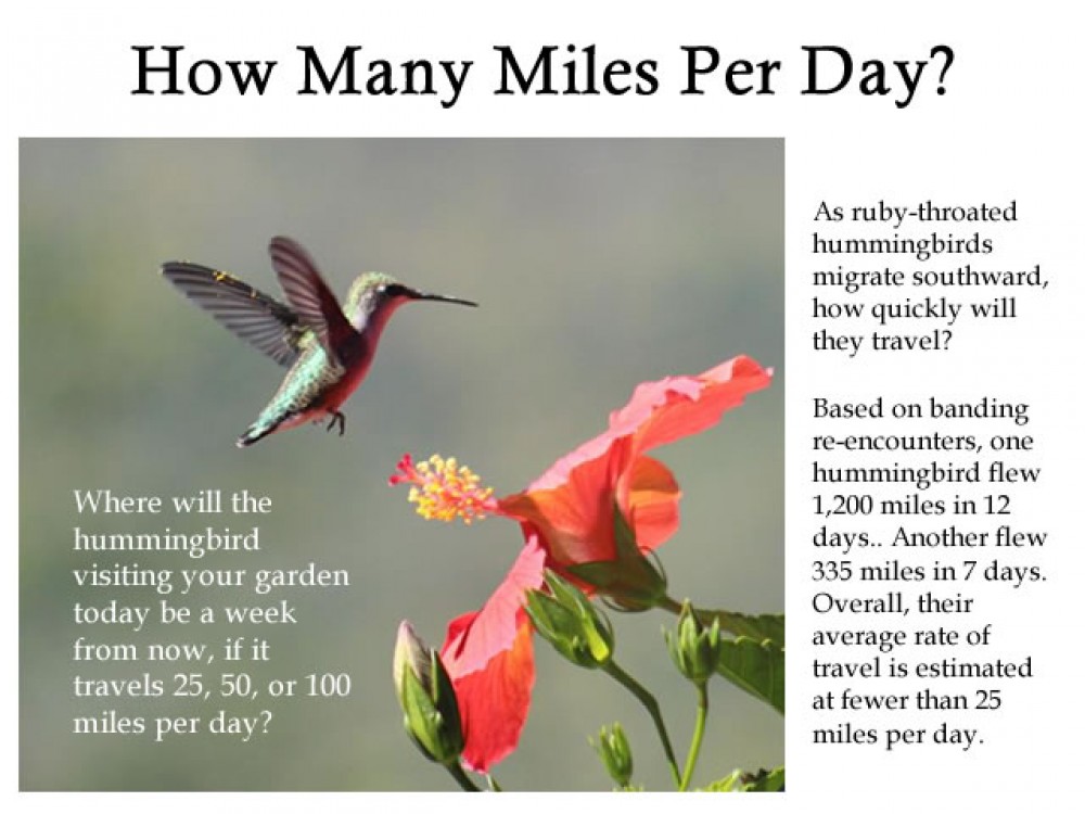 Journal: How Many Miles Per Day?