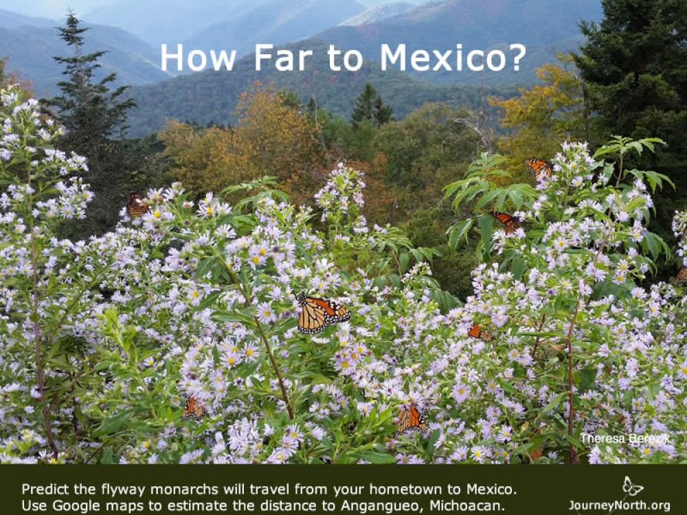 Journal: How far to Mexico?