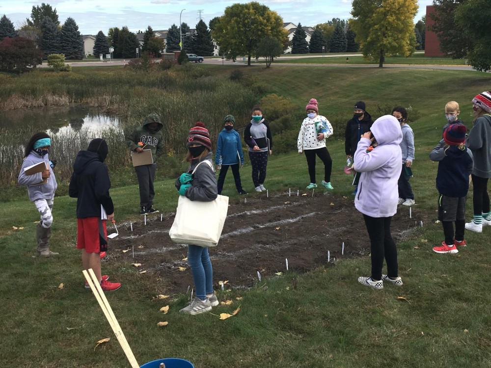 Planting tulip bulbs in Minnesota.