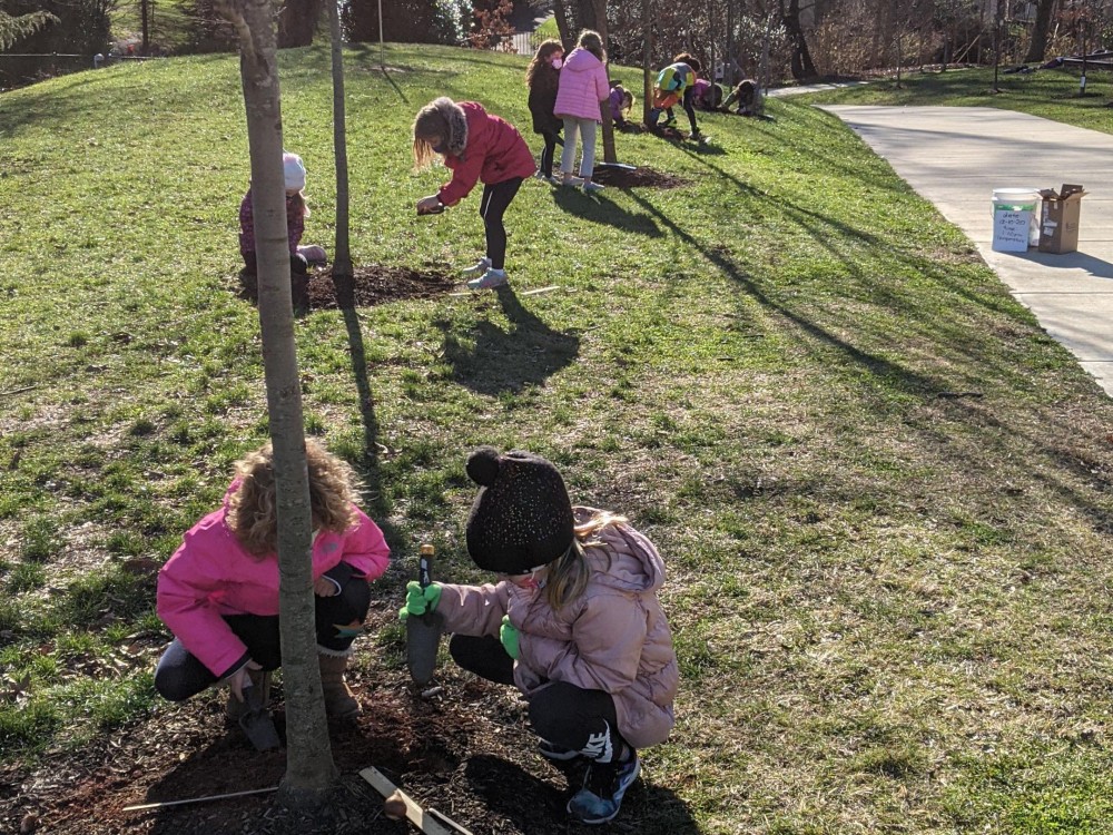 Planting tulips in Philadelphia.
