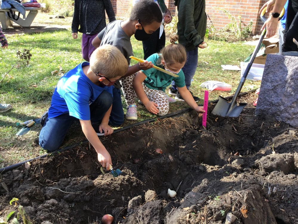students planting tulips
