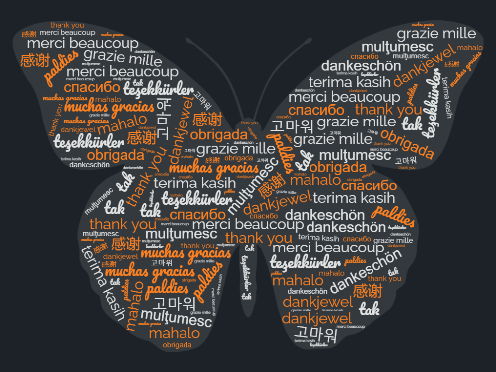 Symbolic Migration thank you image