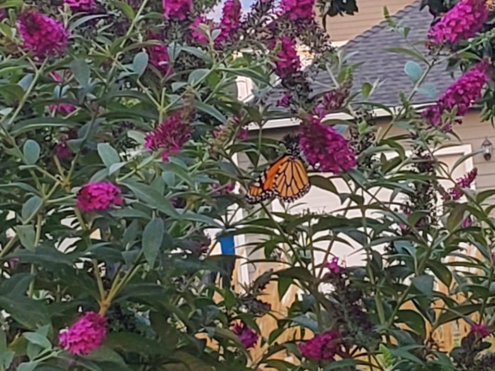 photo: Teagen in Talent OR on 09/10/2022