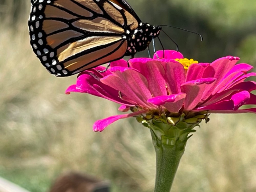 photo: Mike in Castle Rock, CO on 09/20/2022 