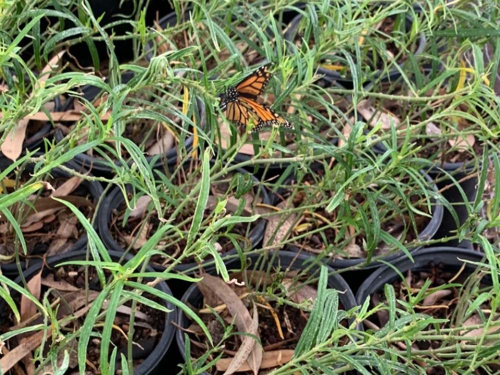 photo: Darlene in Phoenix, AZ on 09/22/2022