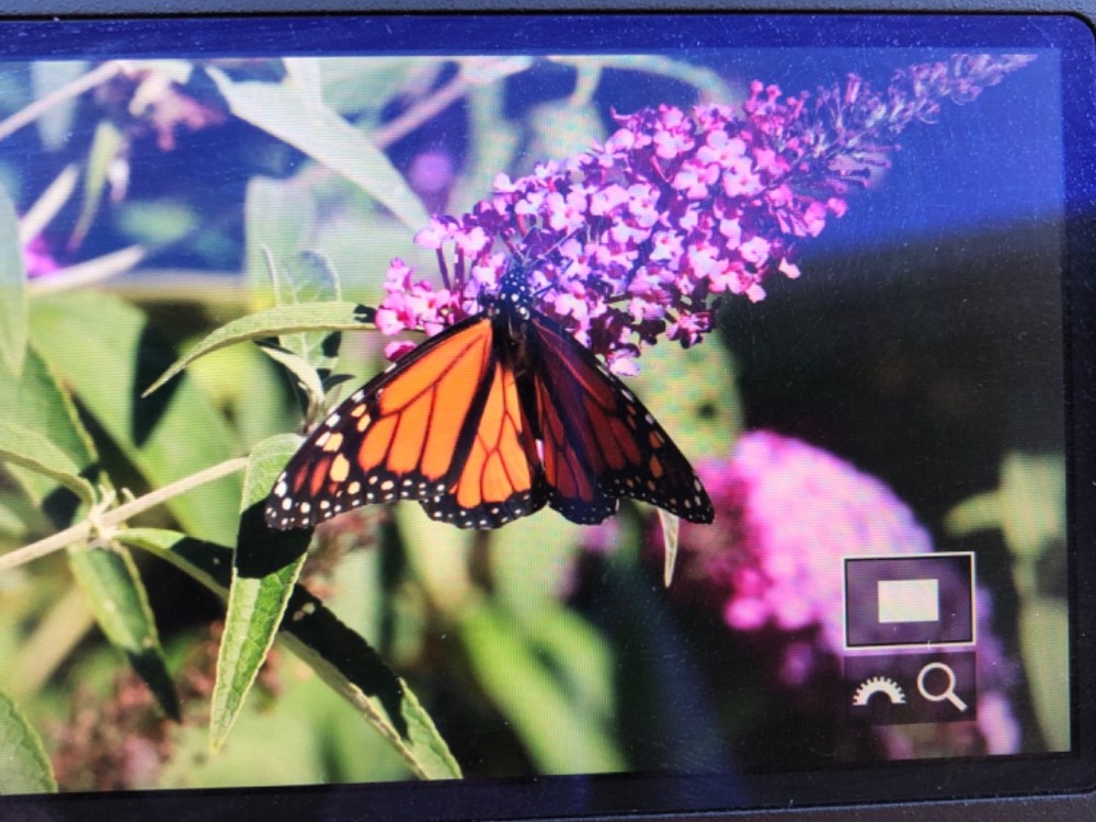 photo: Jennifer in Green River, WY on 09/24/2022