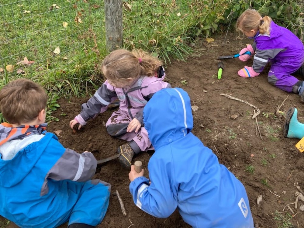 Children planting tulips