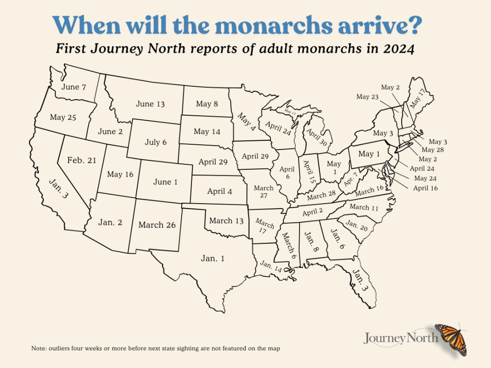 A map displaying the first arrivals of monarch butterflies in each state in 2024
