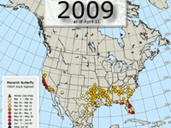 Maps showing rate of advance of spring migration 2009-2017