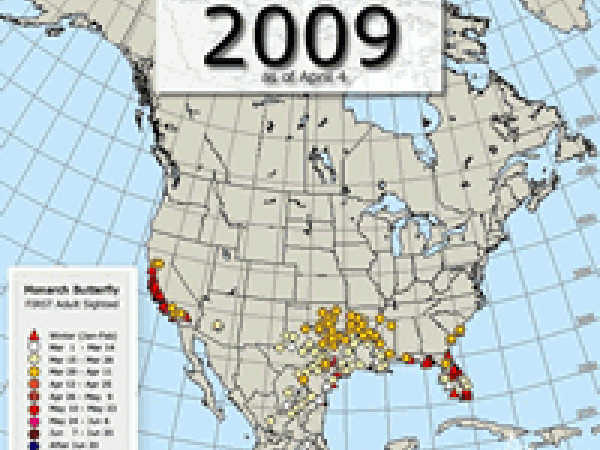 Maps showing rate of advance of spring migration 2009-2017