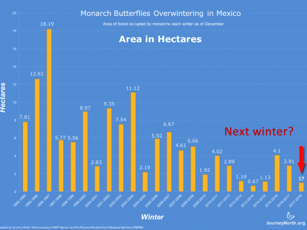 Monarch Butterfly Population Graph