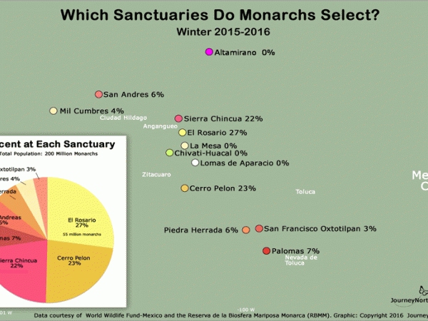 Map and graph showing where monarch butterfly population is distributed in Mexico