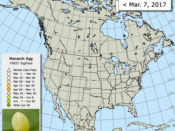 Map of Egg Sightings