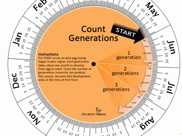Calendar for estimating number of Monarch Butterfly Generations
