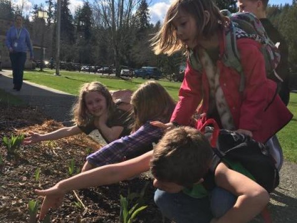 Photo of children in the garden