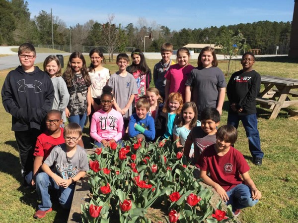 Photo of Class in the garden