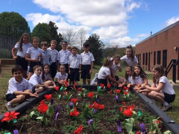 Photo of Class in the garden
