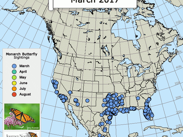 Spring Migration 2017: Month-by-month
