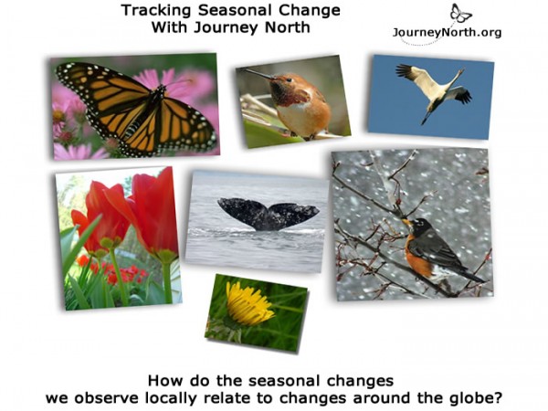 Infographic asking how do the seasonal changes we observe locally relate to changes around the globe?